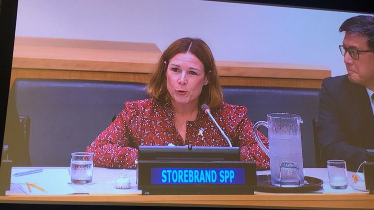 Åsa Wallenberg at the United Nations in NYC.