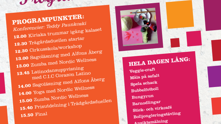 Program Hjällbokalaset 2016