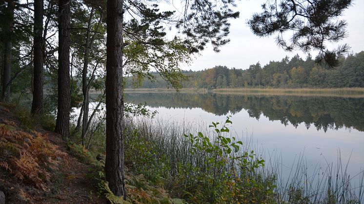 Vandringsled Rösjön