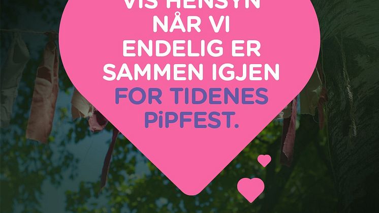 PiPfest eksempel