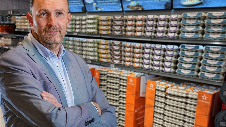 Stjärnägg rekryterar toppnamn till styrelsen!