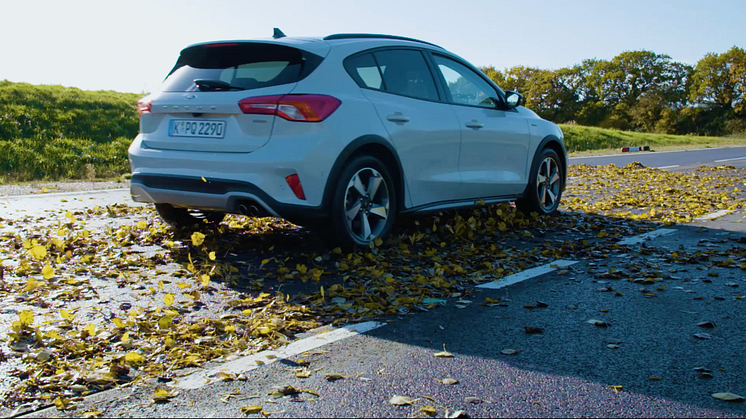 Focus Active leafs