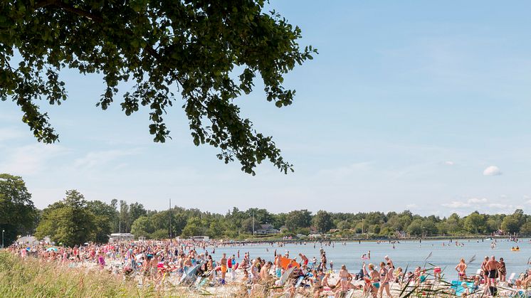 Svenska Livräddningssällskapets simkunnighetsrapport: 1,5 miljon svenskar kan inte simma 200 meter.