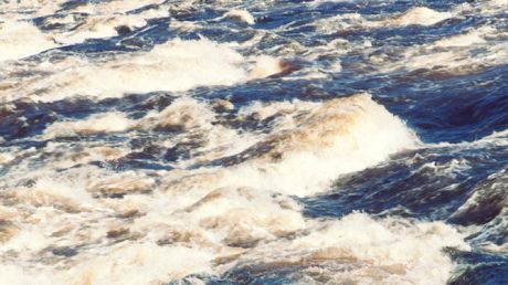 Skyddat område bra för fisken i Kattegatt