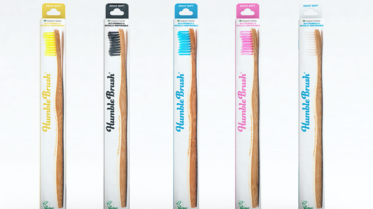 Humble Brush 12