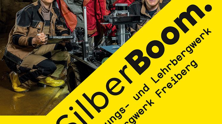 SLA2020 Corporate-Design_SilberBoom