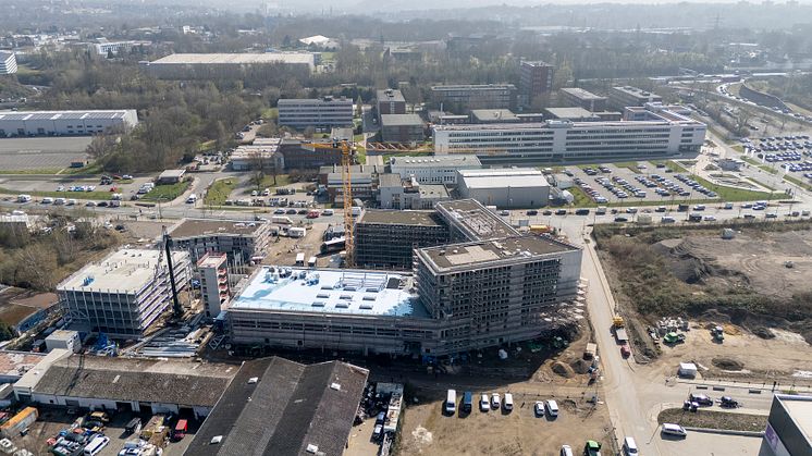 DJI_20250327131108_0081_D.jpg