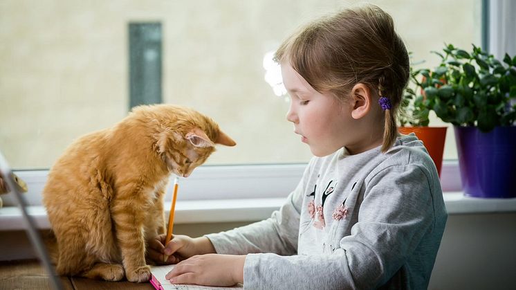 Cat and girl