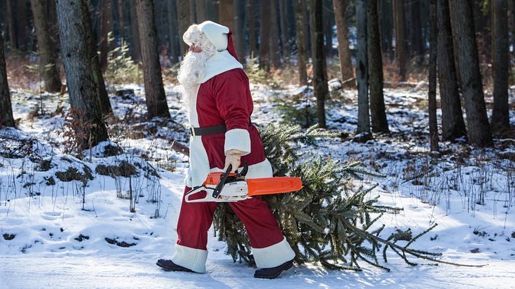 BEVAR NOSTALGIEN - FÆLD DIT EGET JULETRÆ