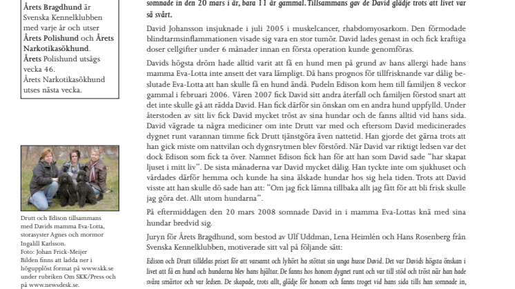 Edison och Drutt är Årets Bragdhundar
