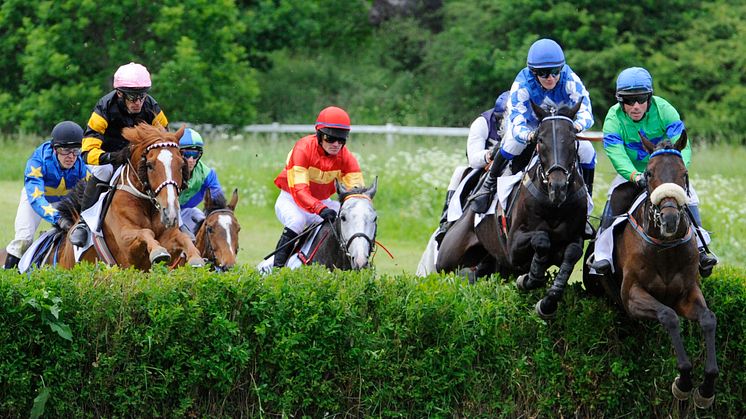 Svenskt Grand National på Strömsholm är ett av Svensk Galopps största evenemang.