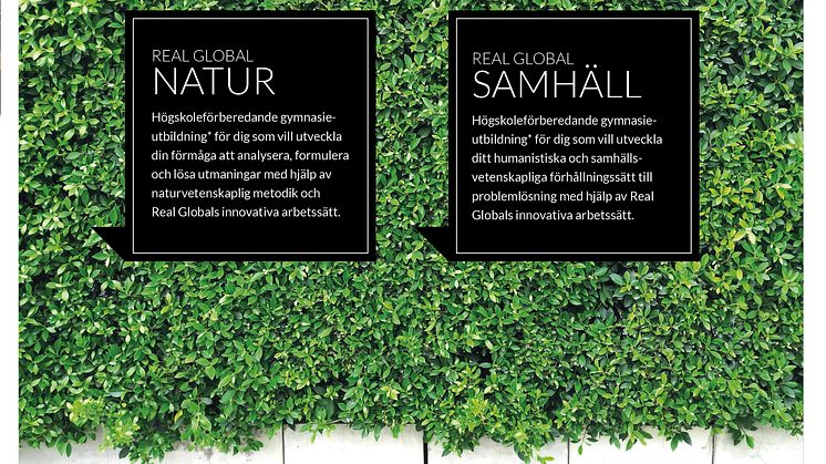 Real Global 1