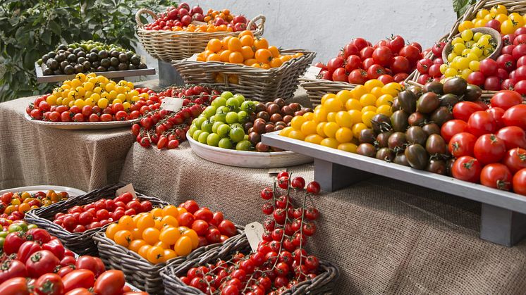 Vi laddar med massor av tomatsorter, expertis och goda smakprover.