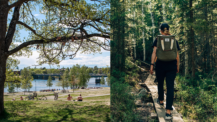 Broparken cover.png