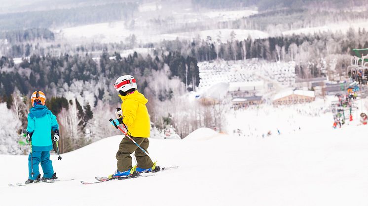Härliga Vallåsen