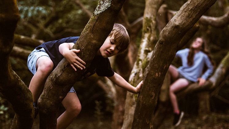 De nordiska ländernas syn på bland annat ”farlig lek” går isär. Foto: Annie Spratt/Unsplash