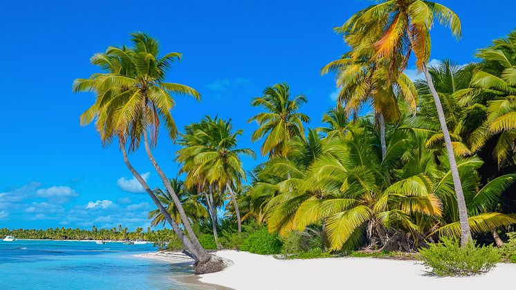 HMRC gives offshore customers chance to come clean
