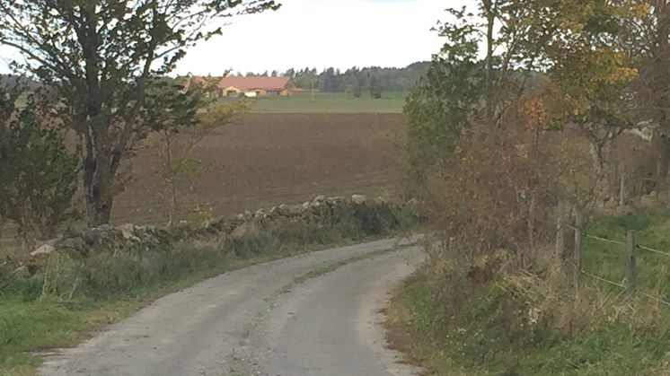 Första veckan i september kommer Länsstyrelsen att göra en tillsynsinsats i bitopskyddade miljöer i odlingslandskapet. Foto: Länsstyrelsen.