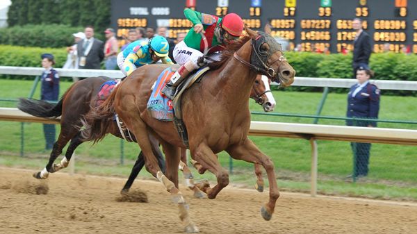 Rekordpublik på Kentucky Derby - 164,000 såg Animal Kingdom vinna!