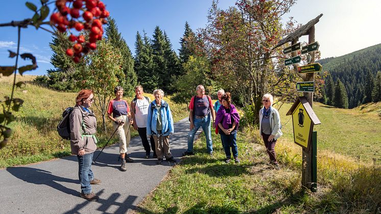 Wanderung_Wanderwochen_Gruppe_Oberwiesenthal Foto_TVE_UweMeinhold15.jpg