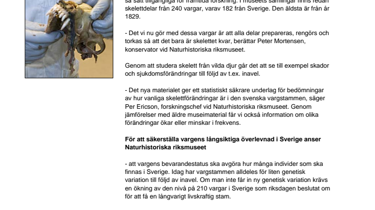 Vad händer med vargarna nu?