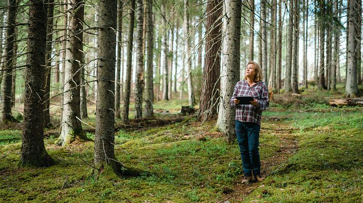 Tjej i skogen_Ecotype