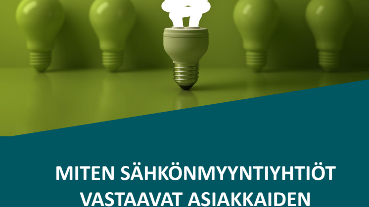 EPSI Sähkön vähittäismyynti 2024.pdf