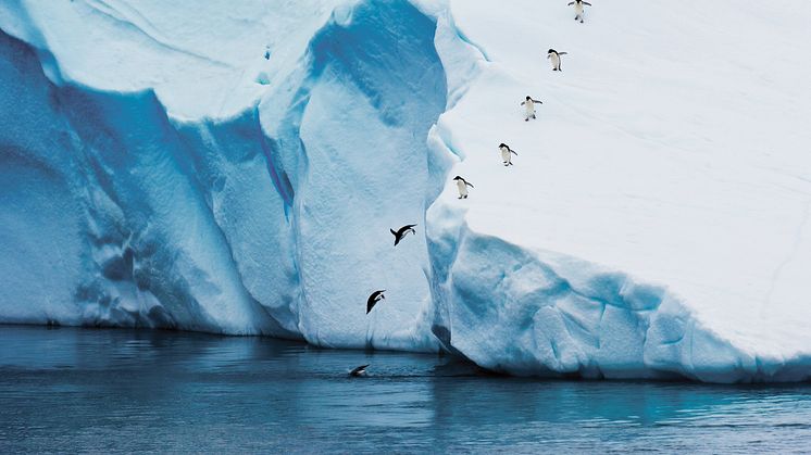 Penguins_Antarctica_HGR_147522_Photo_Getty_Images.JPG