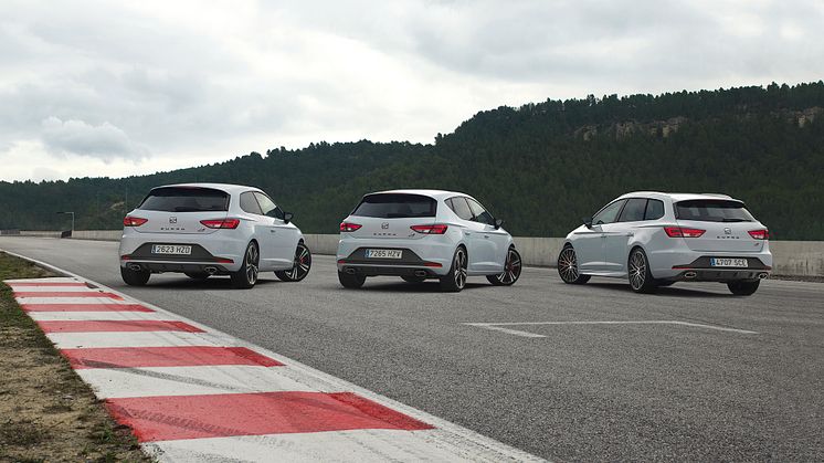 Leon Cupra Model Familie