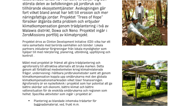 Klimatkompensation genom trädplantering i samarbete med småbrukare, Malawi