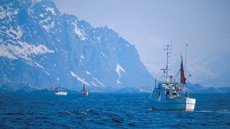 Skreifiske