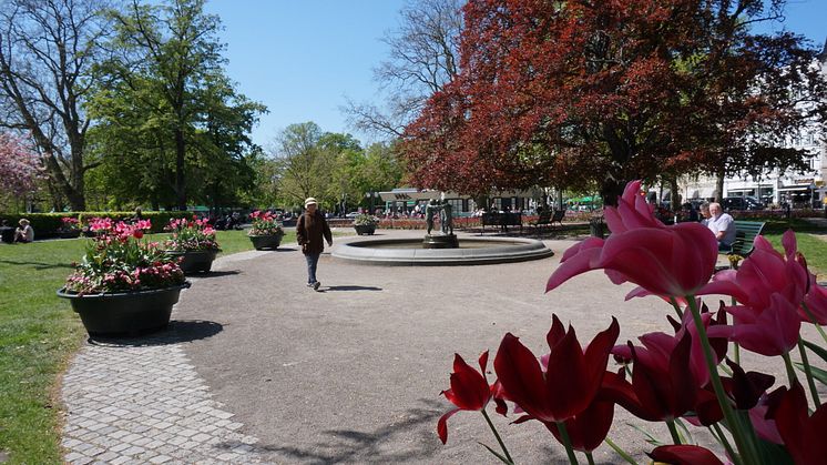 Vår i Malmö City