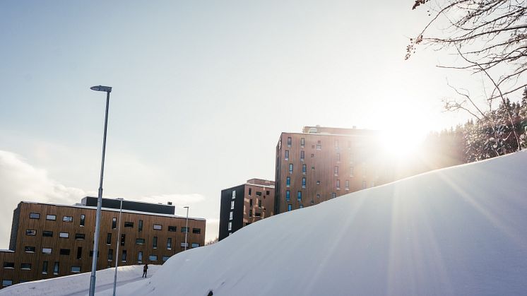 En god strømavtale har spart studentene i studentboliger for mange millioner i løpet av 2018.