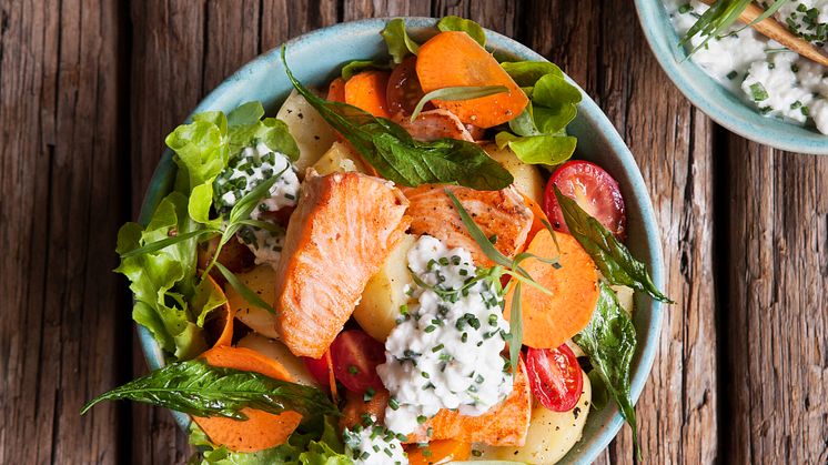 Svegro Varm laxsallad med Andean Sunside