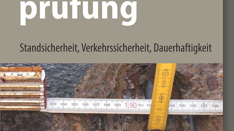 Handbuch Bauwerksprüfung 2D (tif)