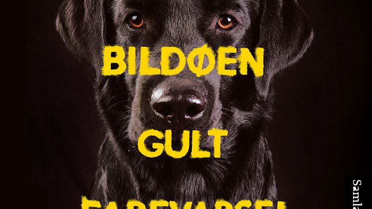9788234011917_Gult farevarsel