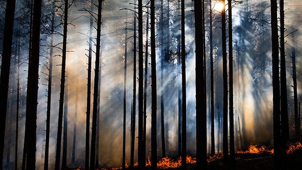 Foto: Anders Tedeholm, Länsstyrelsen Värmland
