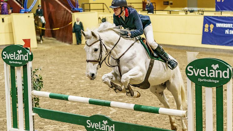 Den populära serien Skåne Grand Prix 1* utökas med en ny serie. foto: Sveland Djurförsäkringar/KimC.nu
