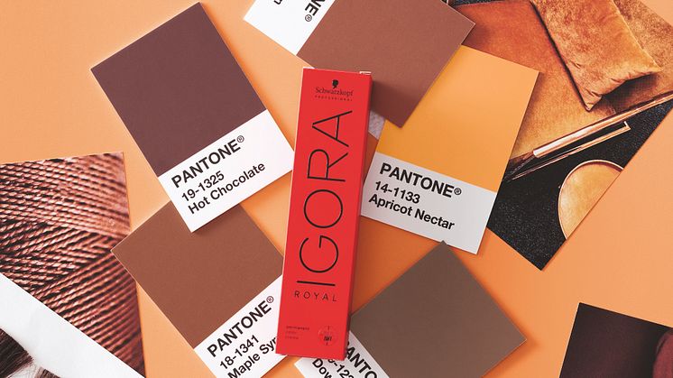 NYA ”IGORA ROYAL Mixes Collection inspired by PANTONE