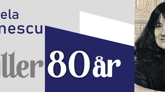 cover FB suedeza