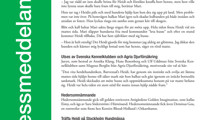 Heidi är Årets bragdhund 2013