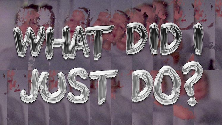 what did i just d0_hemsida