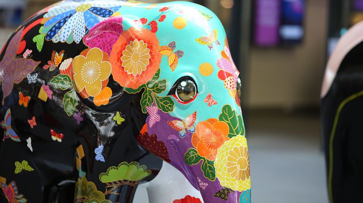 How a little elephant inspired so many big stories...