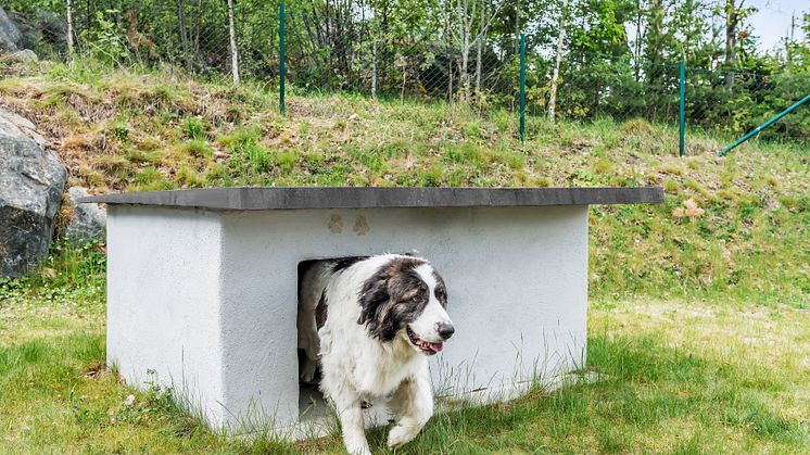 Bygg et isolert hundehus i betong 2