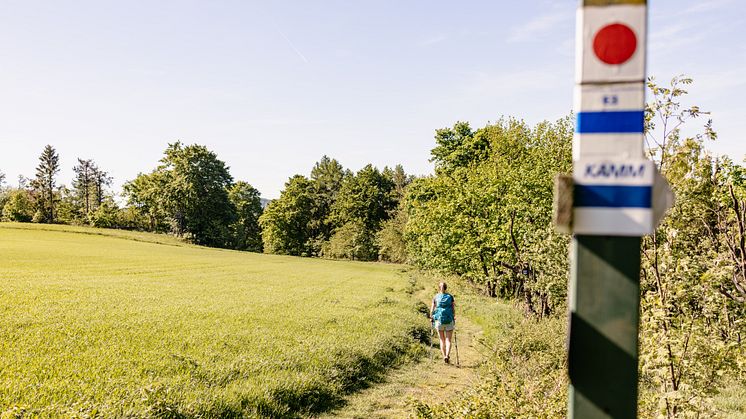 Kammweg Erzgebirge-Vogtland_Foto TVE_Franziska Consolati