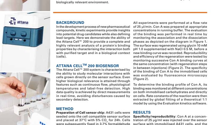Attana Application Note: Characterization of complex lectin-cell kinetics
