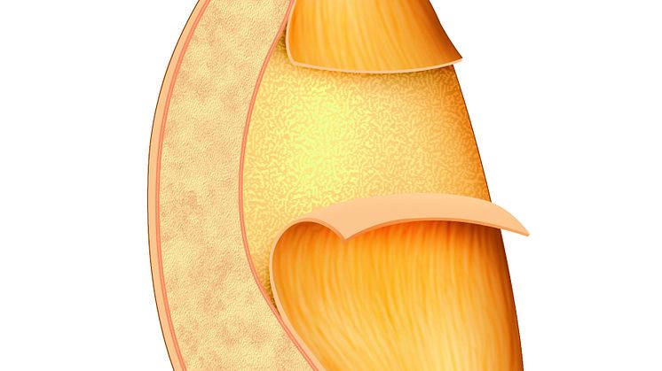Whole grain intake sets new record