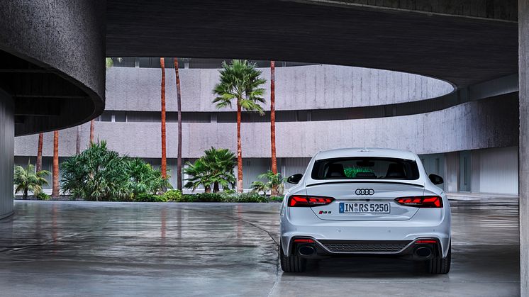 Audi RS 5 Sportback (Gletsjerhvid)