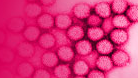 Phase I results will be presented at the International Conference on Mucosal Vaccines, Adjuvants & Delivery, in Copenhagen
