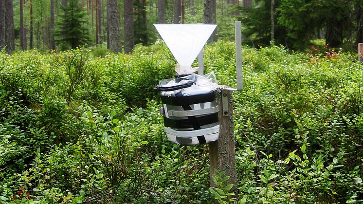 Krondroppsnätets övervakning omfattar ett 60-tal ytor i skog och på öppet fält över hela landet. På bilden syns en provtagare för att mäta krondropp från träden. Foto: Gunilla Pihl Karlsson